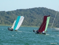 Regata de Canoa 9.jpg

143,01 KB 
750 x 563 
17/10/2005
